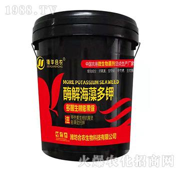 ø�⺣����-���A���r