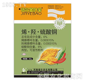 6%ϩ���u�������~-�������~��-����