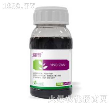 20%���ݿ�-ӭٝ-�˹����