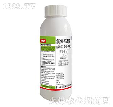 5%�������-�칦-�|������