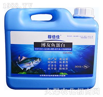 �����~(y��)����-�ڱ���-�����r(n��ng)�I(y��)