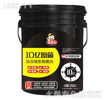 �ͺ�΢�������-10�|ԭ��-�f��