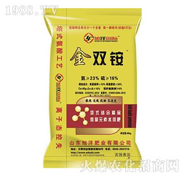 ���p�@-����