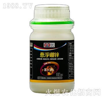 �Ҹ����\-Ӣ����