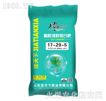 ��ȩ��ጏͺϷ���17-20-5-���S-������