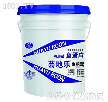 �����ͺ��徫�~(y��)����-�|�ؘ�(l��)-�Z��