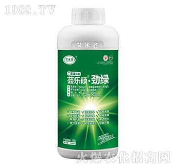 �V�Vͨ���͡��žG-������