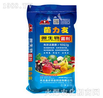 ΢�������-������-�ζ���-�����r(n��ng)�I(y��)