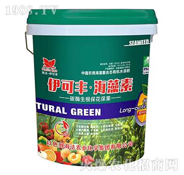 ̼ø������������-�����S��������-����