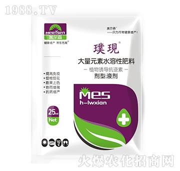 ֲ���T��������-豬F(xi��n)-