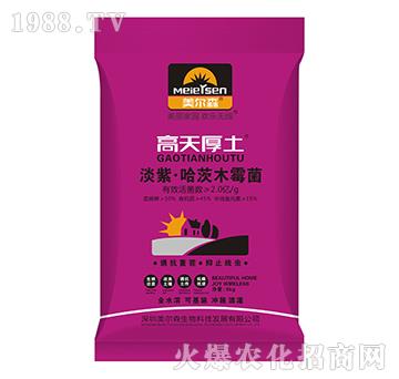 ���ϡ�����ľù��-�������-����ɭ