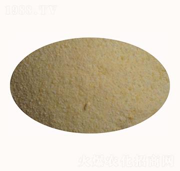 �����}�A����-����ʘI(y��)