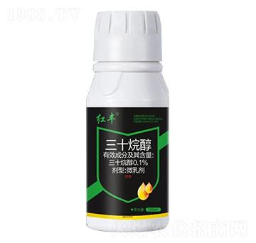 0.1%��ʮ�鴼-�t�S-Ӣ����