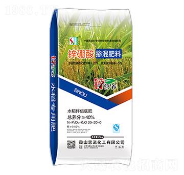 �\���ᓽ�����20-2