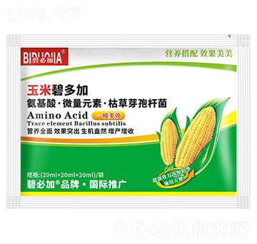 ���ױ̶��-�κ�����