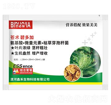 �n�g�̶��-�κ�����