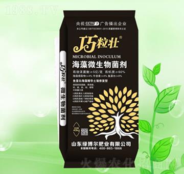 ����΢�������-������-�G�����ʘI(y��)