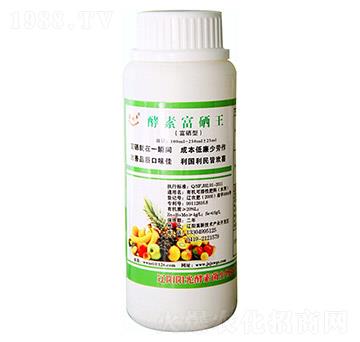 ���ظ�����-ꖹ�