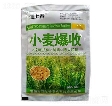 С������-�֠���