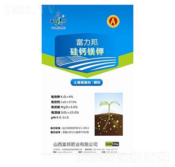 �����{�턩-���}�V�-����ʘI(y��)