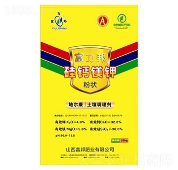 �����{�턩-�۠���}�V�-����ʘI(y��)