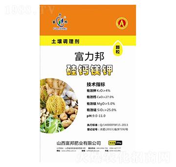 �����{�턩-�w�����}�V�-����ʘI(y��)