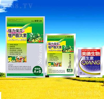 �������a(ch��n)�����-��������