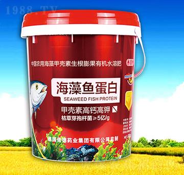 �����~����-��������