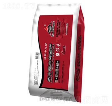 ����ʮ����-��ķ˹