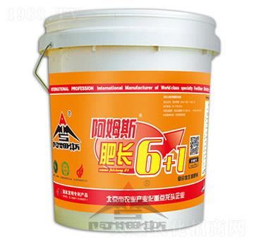 ���L6+1-��ķ˹