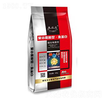 �۹Ȱ������~����-���~��-���m����