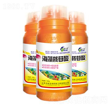 ���������-ʩ����-ԣ��߿�