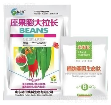 ����������L(zh��ng)-ʩ����-ԣ��߿�