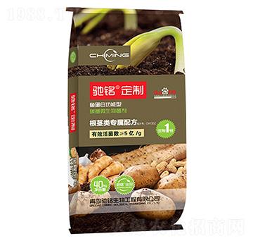 ���o���ʶ��Ʒ�-�Y�����