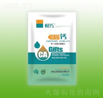 �֠��}-����-�f���_(d��)