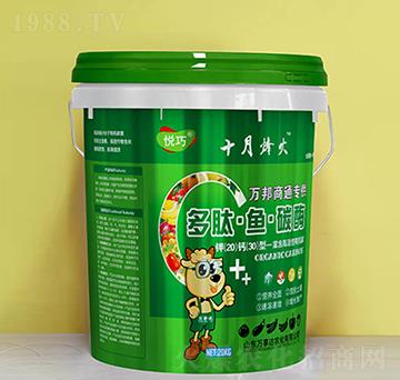 �����~(y��)̼ø-�f(w��n)���_(d��)