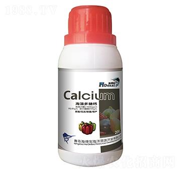 ��������}-���Ì�