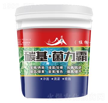 ̼����������-�S����-��w�r(n��ng)