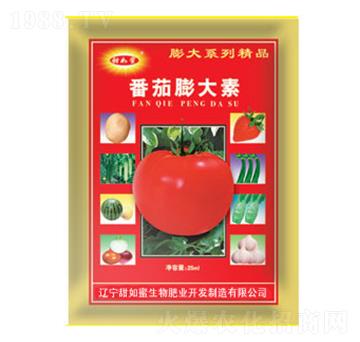 ���������-������