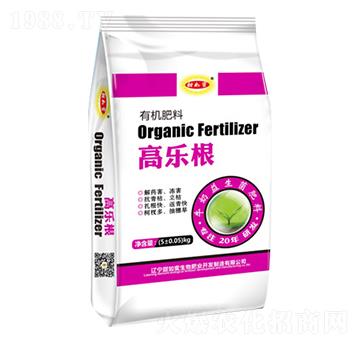 �ߘ�(l��)���ЙC(j��)����-������