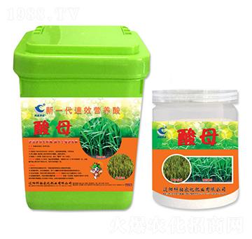 ��һ����Ч�I�B(y��ng)��-��ĸ-�����r(n��ng)��