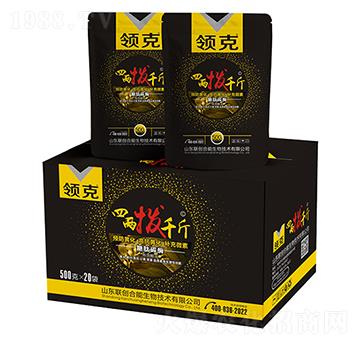 �I(l��ng)���ăɓ�ǧ��-(li��n)��(chu��ng)�r(n��ng)�I(y��)