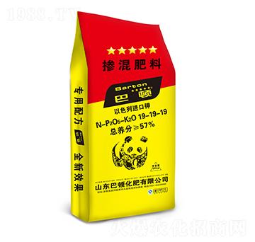 �������19-19-1