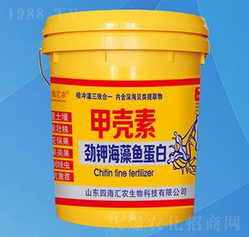 �ך��؄�⛺����~����-�ĺ��R�r