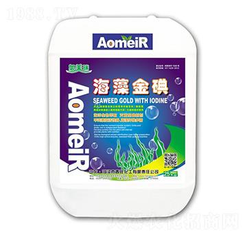 ������-�W����-��������