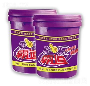 ����Ե�-��������