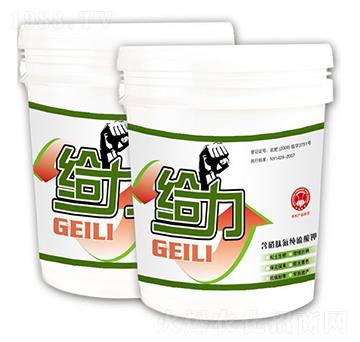 �����B(t��i)���������-�o��-��������