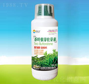 ���~��ѿ��ѿ��-�ĺ��R�r(n��ng)