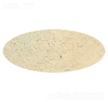 ������ԭ��-�P����