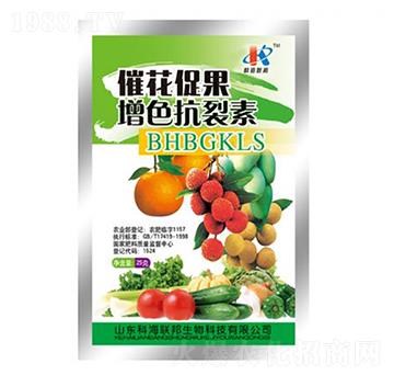 �߻��ٹ���ɫ������-��